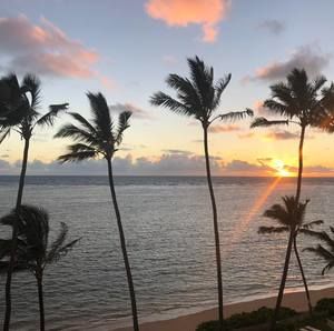 Meet your Posher, Humira